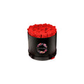 Luxury rose rosse